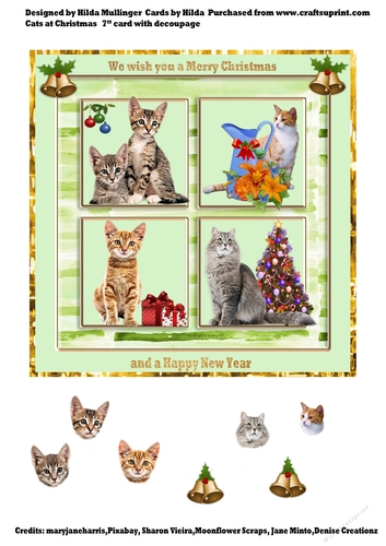 Cats at Christmas