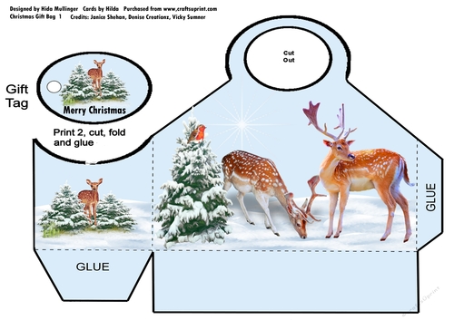 Christmas Gift Bag 1 