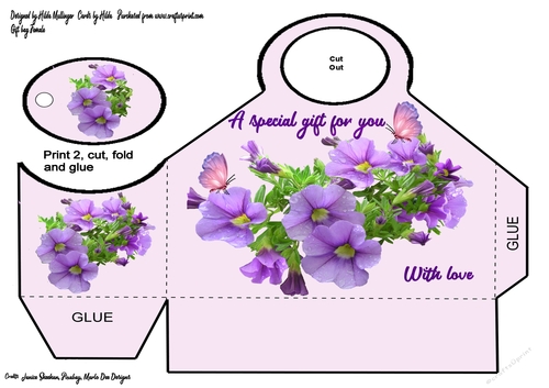 Gift bag female