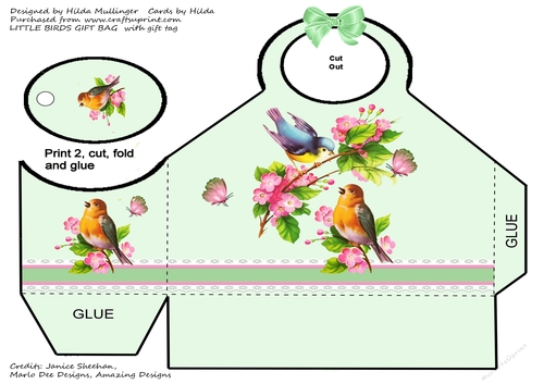 LITTLE BIRDS GIFT BAG