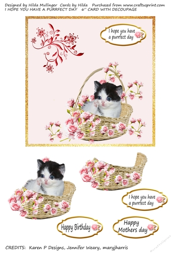 I HOPE YOU HAVE A PURRFECT DAY