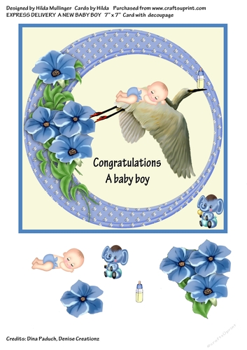 EXPRESS DELIVERY  A NEW BABY BOY