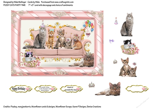 PUSSY CATS PARTY TIME
