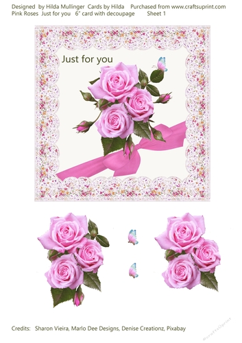 PINK ROSES  JUST FOR YOU