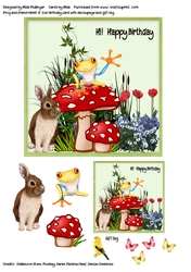 Frog and friend rabbit