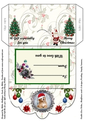 SANTA LEFT THIS FOR YOU