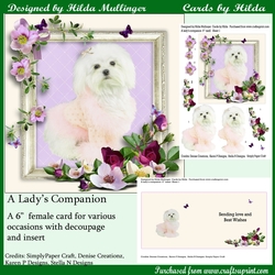 A Ladys Companion