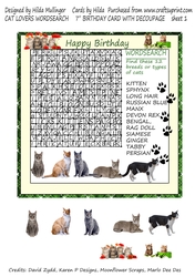 CAT LOVERS WORDSEARCH 
