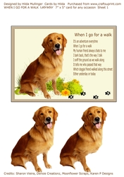 WHEN I GO FOR A WALK Labrador