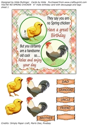 YOURE NO SPRING CHICKEN