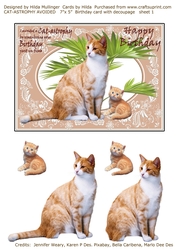 CAT-ASTROPHY AVOIDED