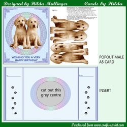 POPOUT MALE A5 CARD