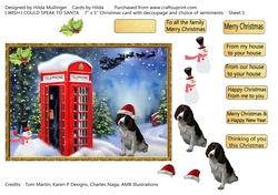 I WISH I COULD SPEAK TO SANTA 1