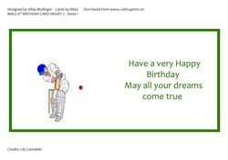 MALE 6 BIRTHDAY CARD INSERT 2