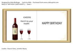 MALE 6 BIRTHDAY CARD INSERT 3 