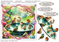 BIRDS IN THE FRAME 1