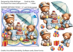 SUMMER BIRTHDAY PICNIC 1