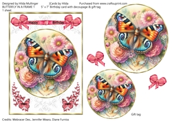 Butterfly in a frame 1