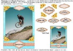 MOUNTAIN BIKE 2