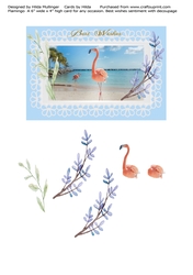 Flamingo