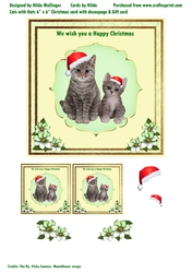 Cats with Hats