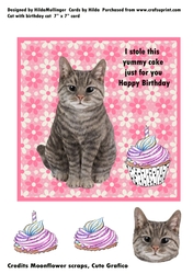 Cat with a Birthday cake