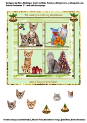 Cats at Christmas