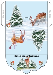 Christmas Money wallet