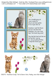 I AM A LOVEABLE CAT