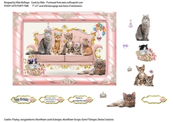 PUSSY CATS PARTY TIME