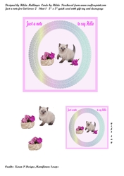 Just a note for Cat lovers 2