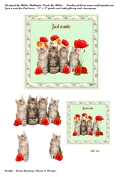 Just a note for Cat lovers 3