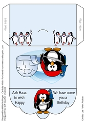 PENGUIN PIRATE GIFT VOUCHER ENVELOPE