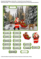 SANTA AND HIS SLEIGH