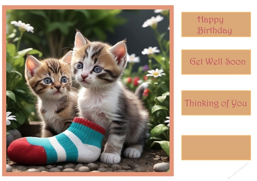 Kittens with a sock