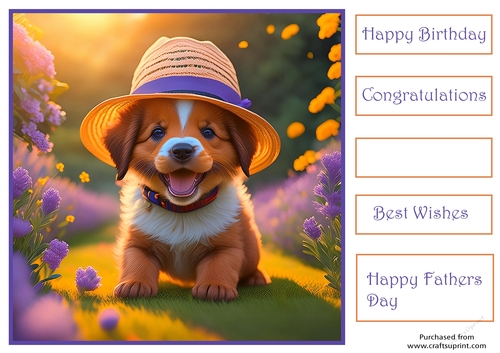 Puppy in a hat
