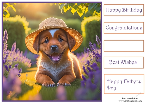 Puppy in a hat 