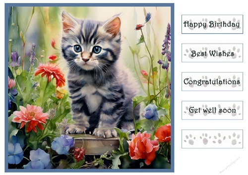 Beautiful Kitten in the garden