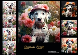 Dalmatian puppies