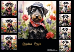 Terrier puppies