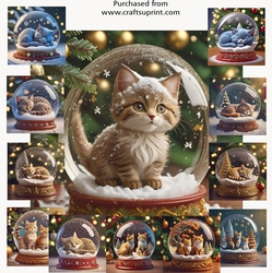 Snow globe kitties