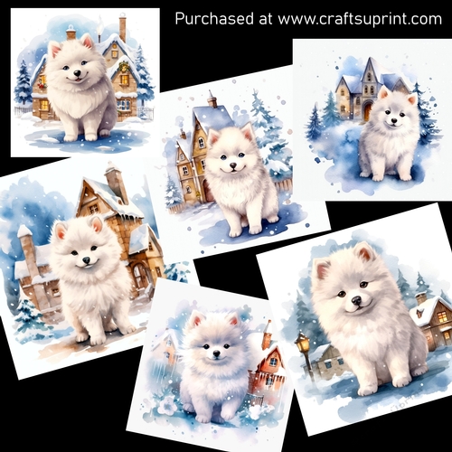A fluffy snowball CARD FRONTS