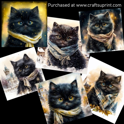 Cute kitten in winter 4 CARD FRONTS