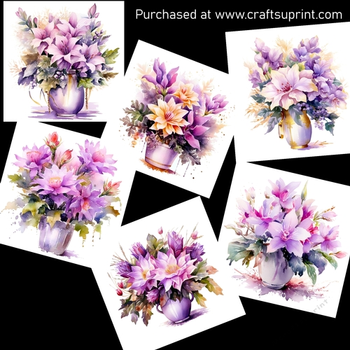 Beautiful Christmas cactus lilac