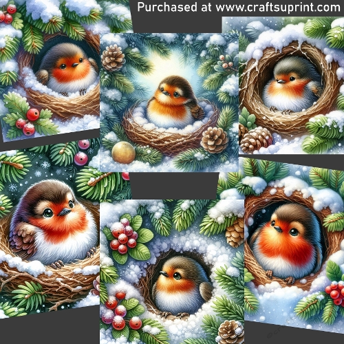Baby bird in winter
