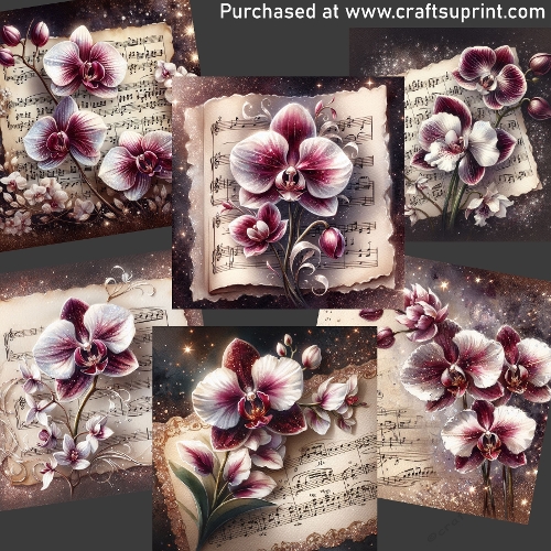 Orchid on musical paper