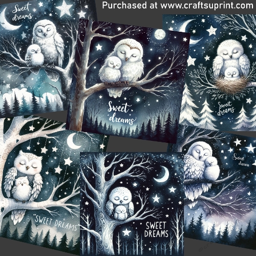 Sweet dreams little owl