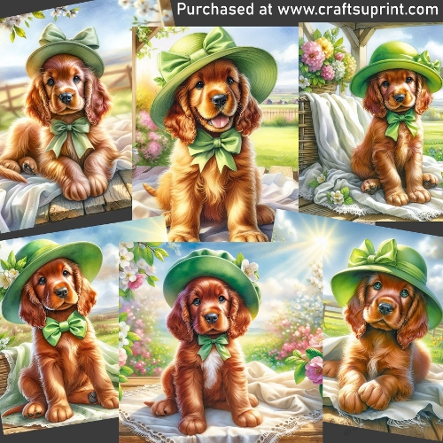 Adorable puppy CARD FRONTS