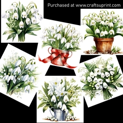 Snowdrop flowers
