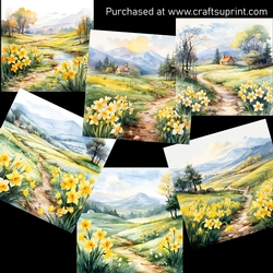 Daffodils fields CARD FRONTS